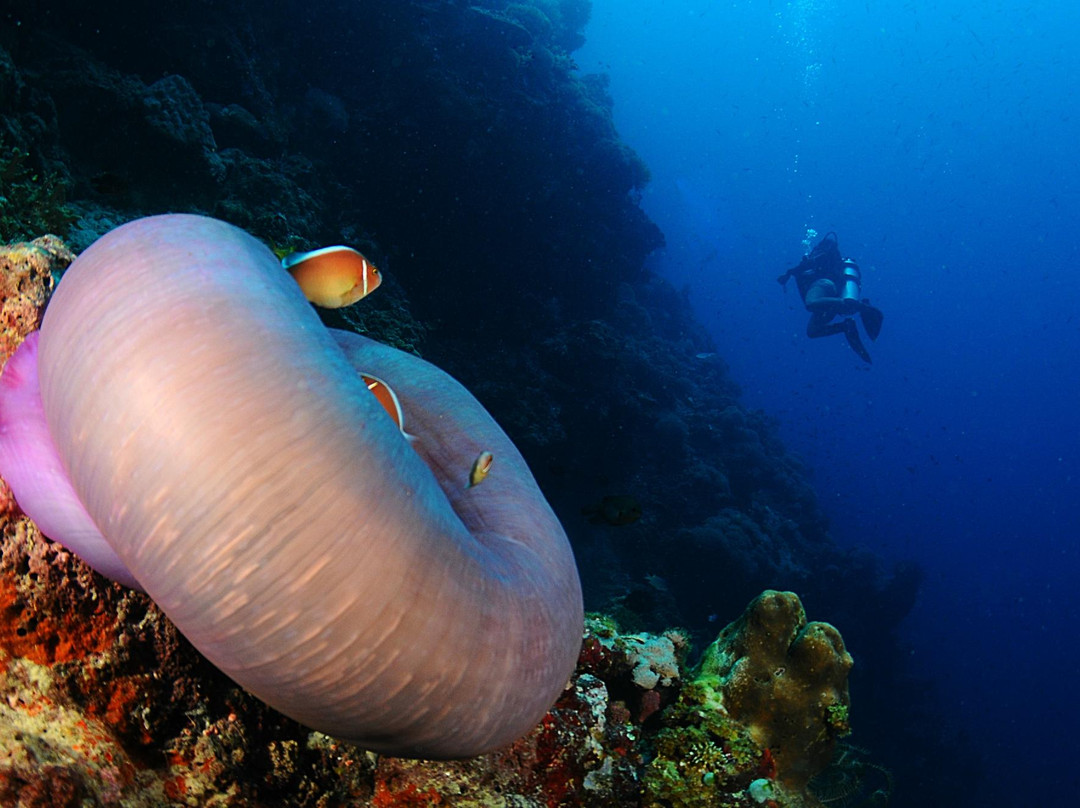 Dohna Dives-邦劳岛必去景点