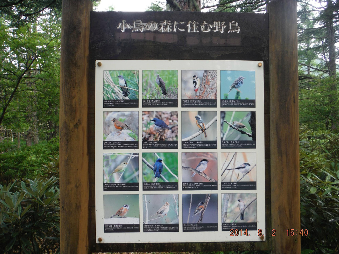 Shirakaba Highland International Ski Area-立科町必去景点