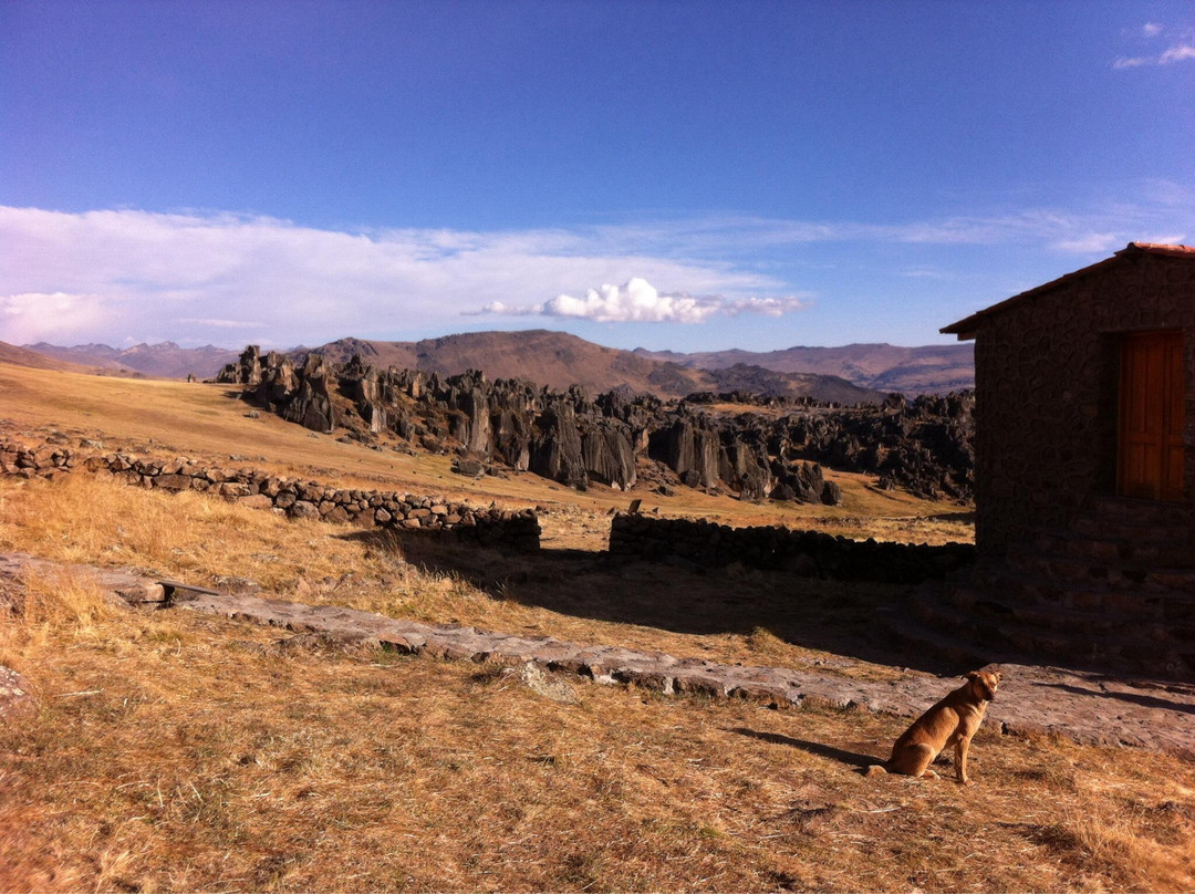 Hatun Machay Rock Forest景点图片