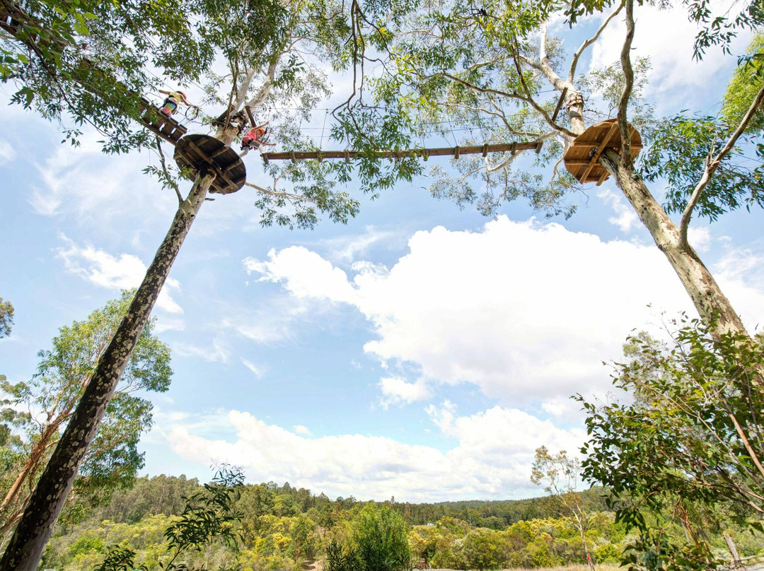Treetops Adventure Western Sydney景点图片