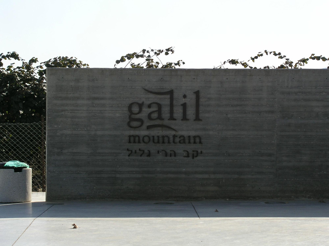 Galil Mountain Winery景点图片