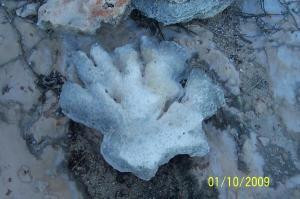 Briland's Blue Hole-哈勃岛必去景点