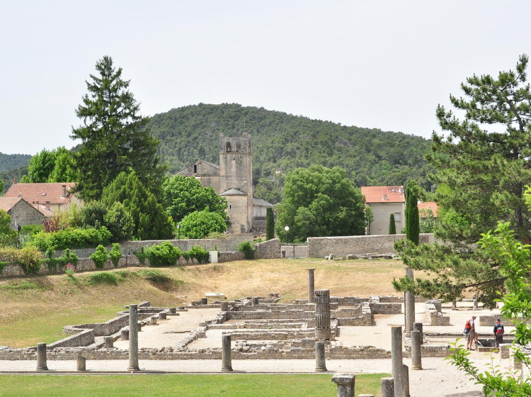 Vaison la Romaine景点图片