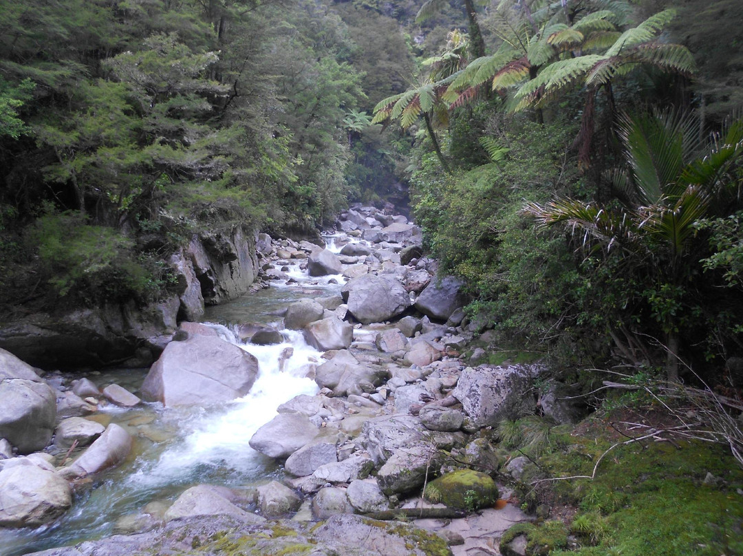 Wainui Falls Track景点图片