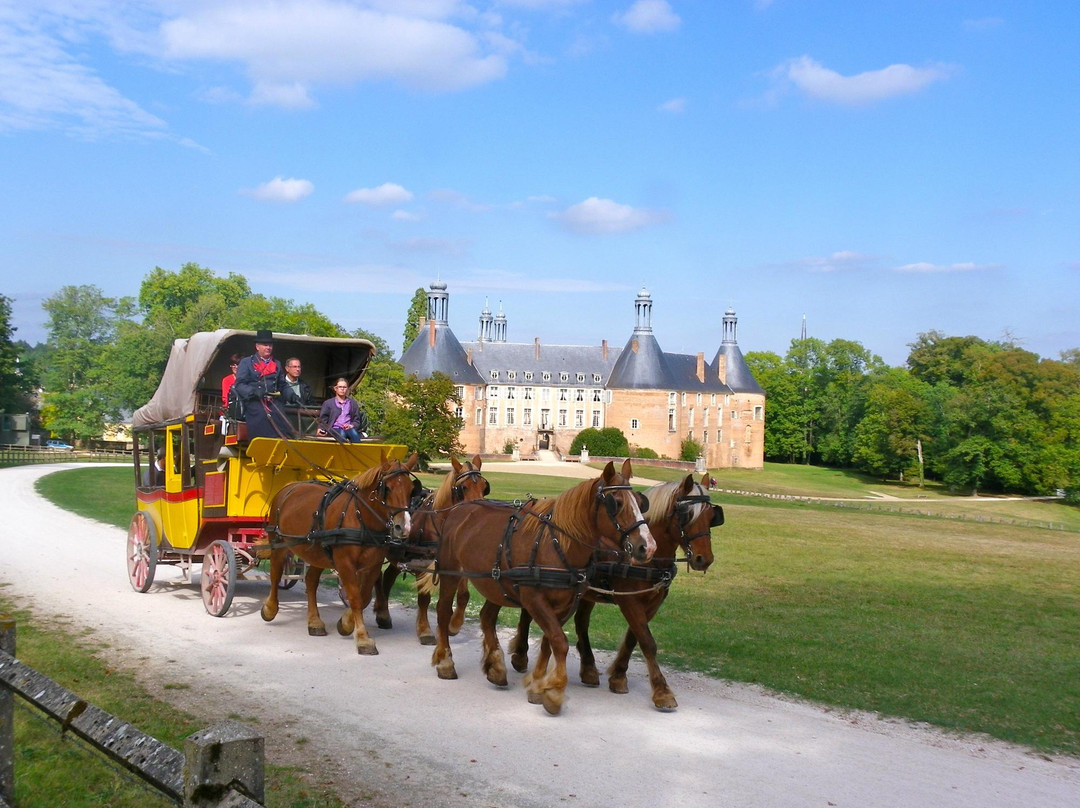 Les Calèches de Saint Fargeau景点图片