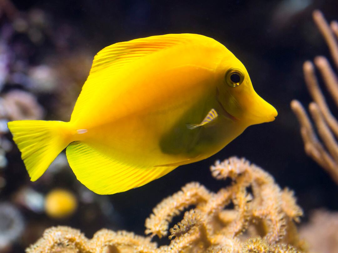 SEA LIFE Hannover-汉诺威必去景点
