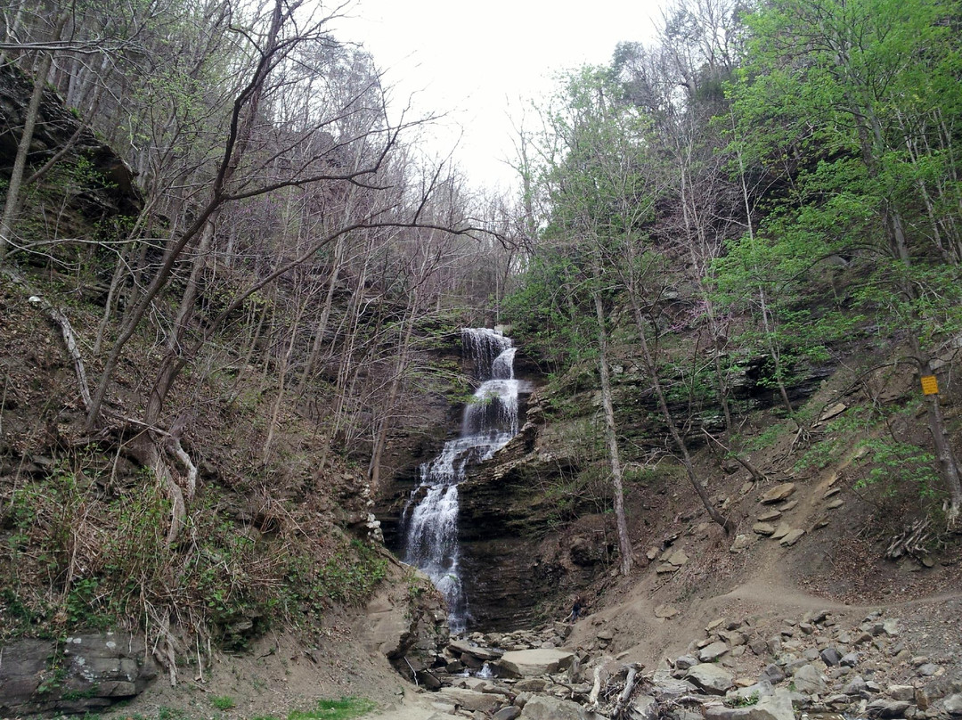Cathedral Falls-Gauley Bridge必去景点