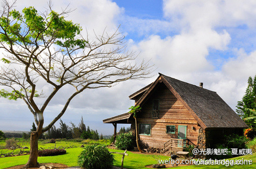 可哈拉岛-夏威夷大岛必去景点