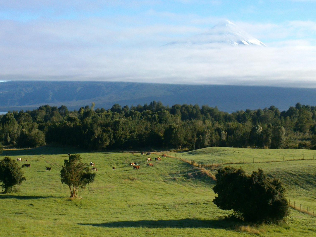 Fox Hill Bed & Breakfast主图