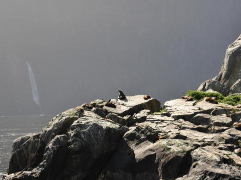 米尔福德旅行公司-皇后镇必去景点