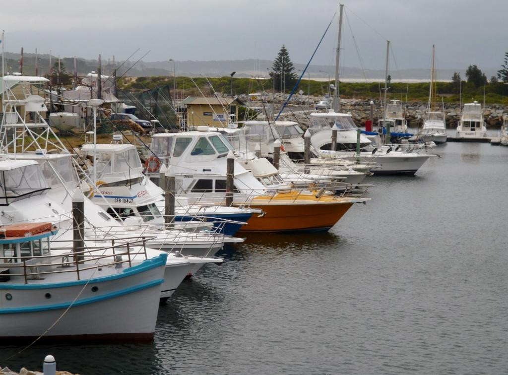 Bermagui Fishermen's Wharf景点图片