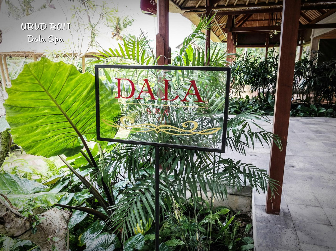 巴厘岛乌布DALA SPA-乌布必去景点