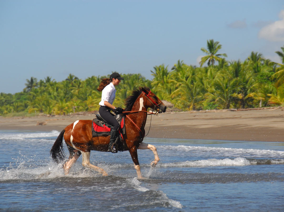 The Riding Adventure景点图片