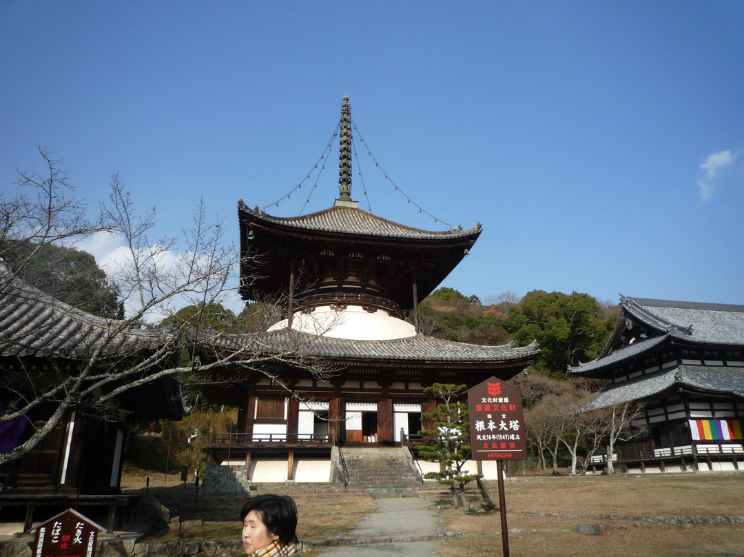 Negoro-ji Temple-岩出市必去景点