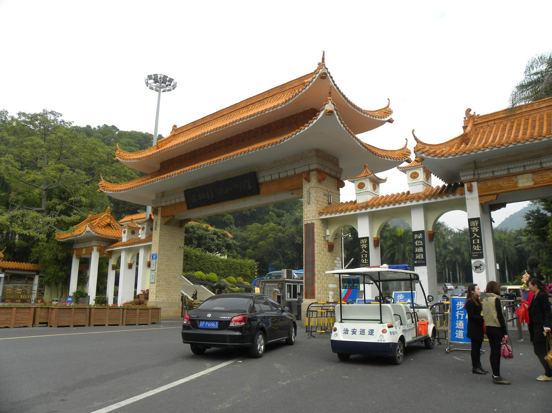 仙湖植物园-深圳市必去景点