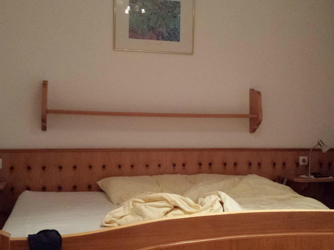 加尼索莱尔酒店主图