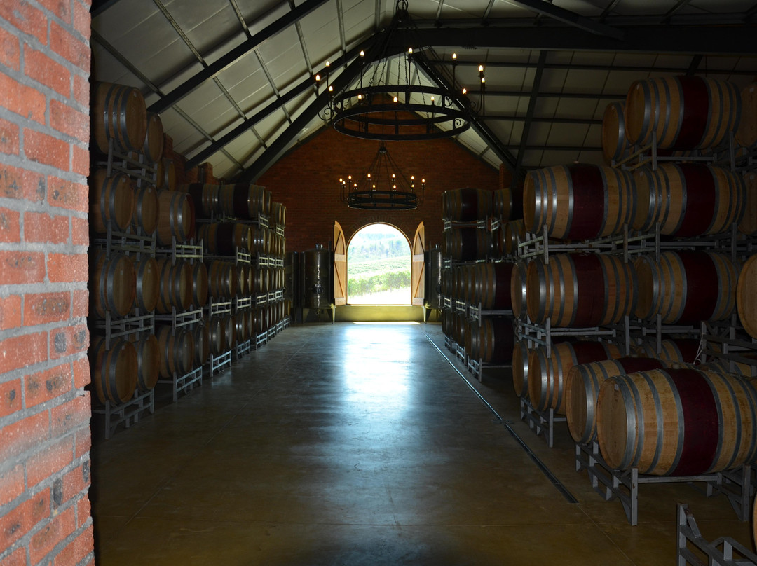 Ernie Els Wines-斯泰伦博斯必去景点