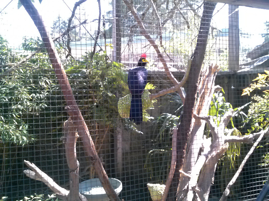 Palo Alto Junior Museum & Zoo-帕罗奥多必去景点