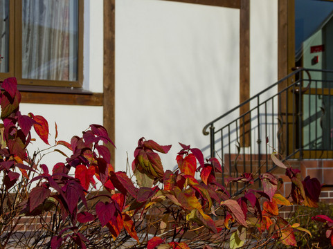 Sheremet’yevskiy旅游攻略图片