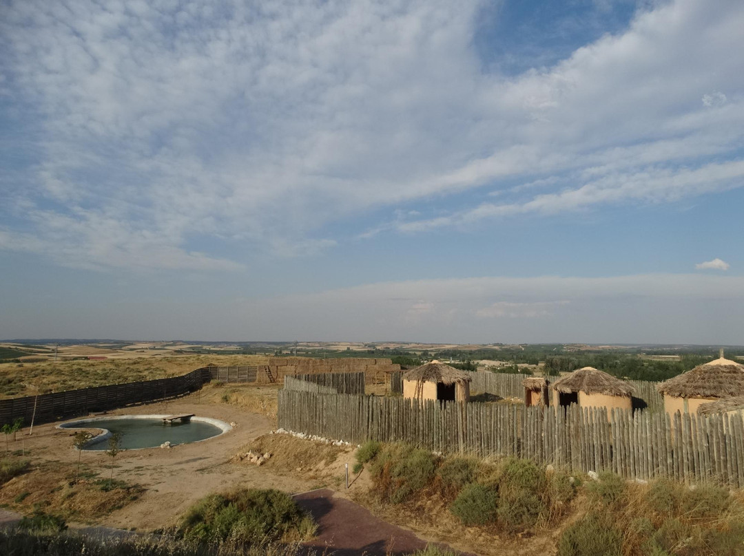 Parque Arqueológico de Roa de Duero景点图片