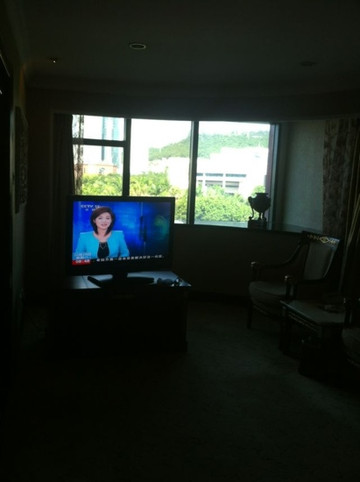 天鹅大酒店主图