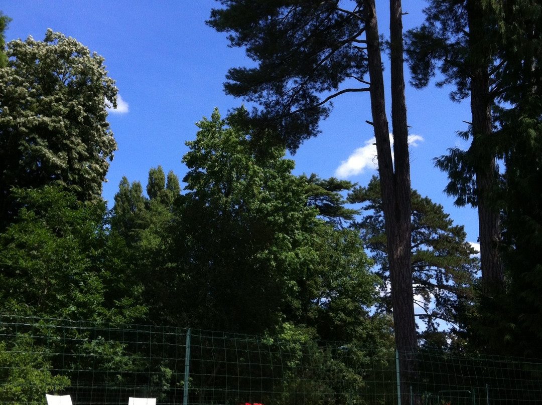 Chateau de Brinay主图
