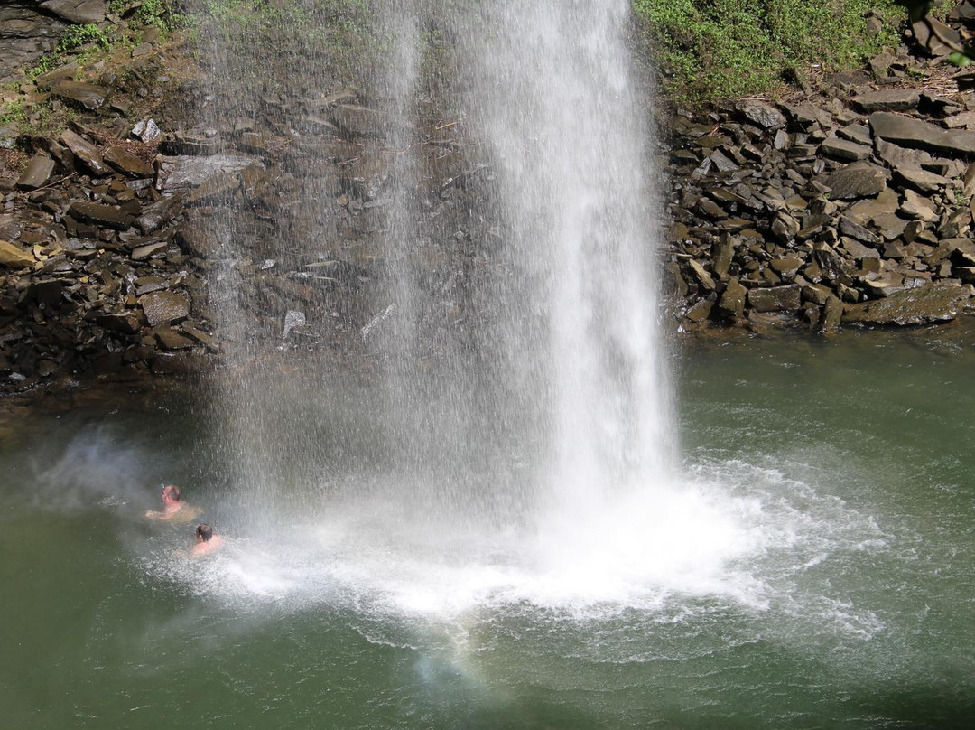 Ozone Falls State Natural Area-Crab Orchard必去景点