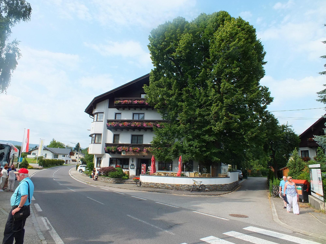 Gruener Baum主图