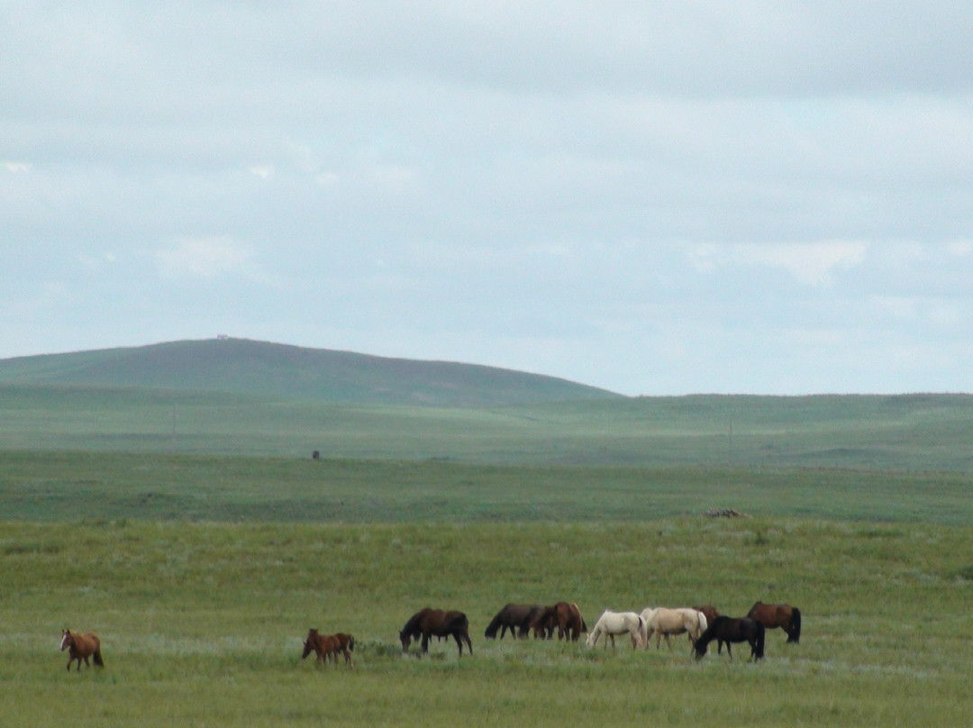 锡林郭勒草原自然保护区-锡林浩特市必去景点