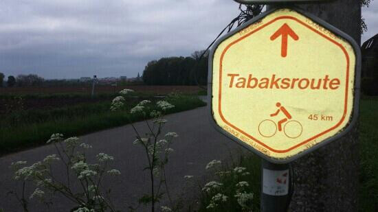 Tobacco Bicycle Trail景点图片
