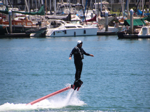 San Diego Bay Adventures-圣地亚哥必去景点