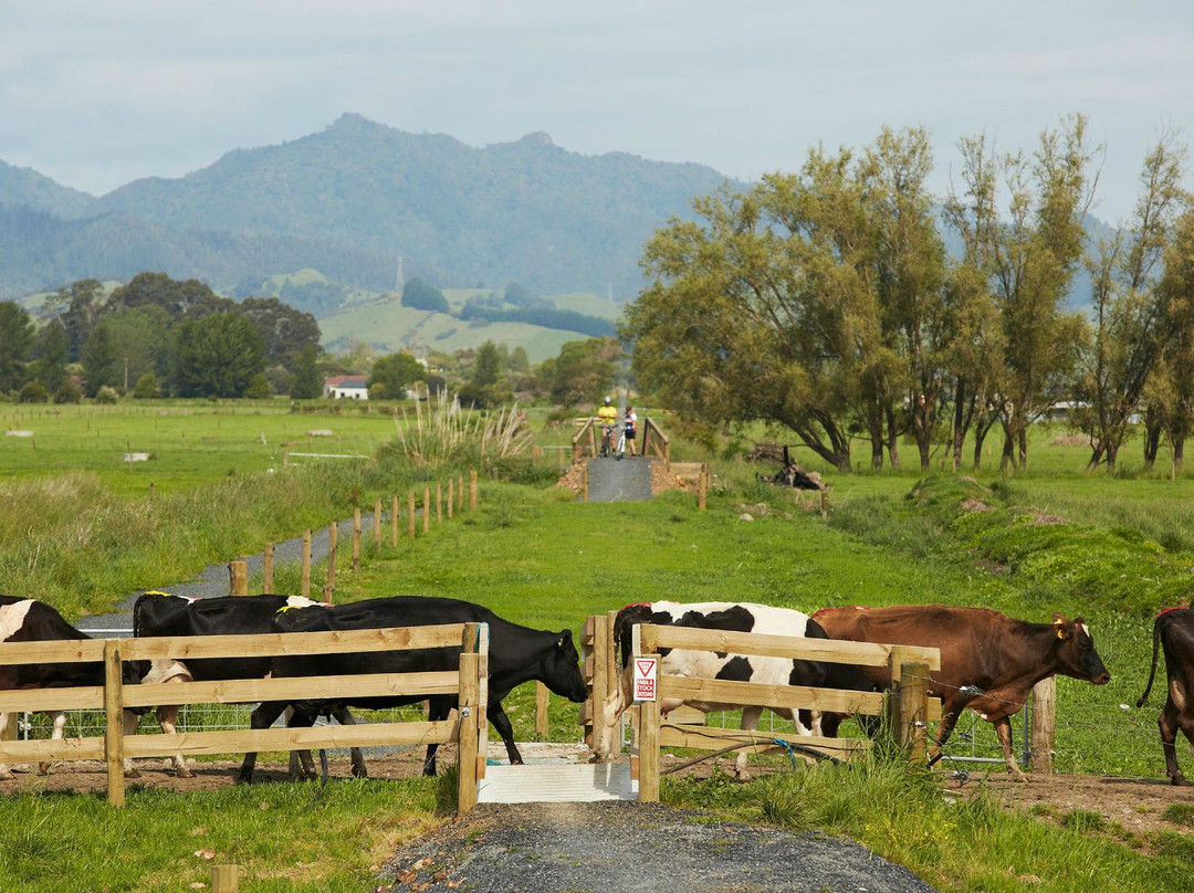 Hauraki Rail Trail景点图片