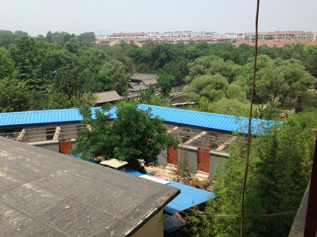 青州博物馆景点图片
