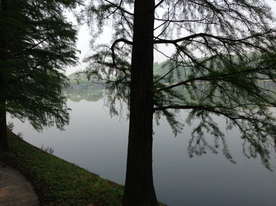 武汉东湖宾馆主图