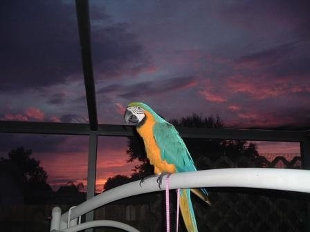 Bird Gardens of Naples-那不勒斯必去景点