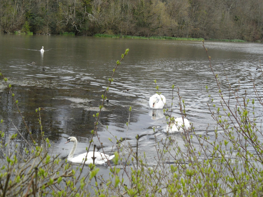 Marfield Lake-Clonmel必去景点