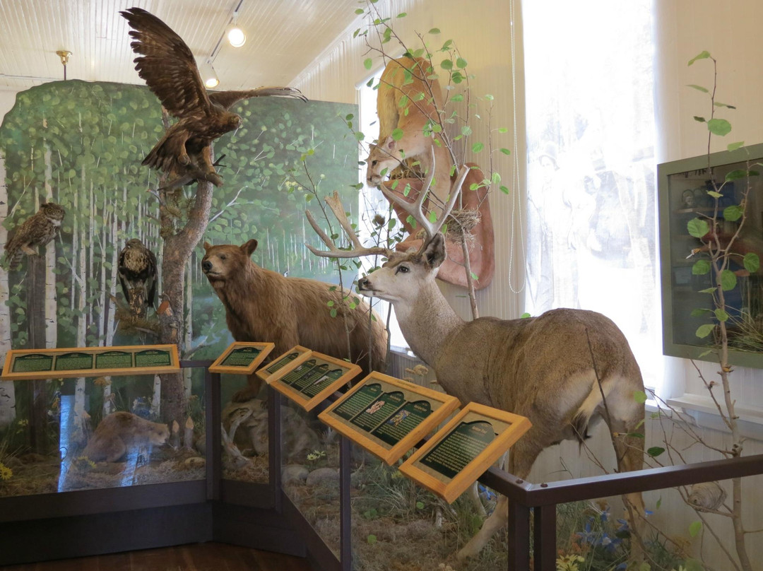 Frisco Historic Park and Museum-弗里斯科必去景点