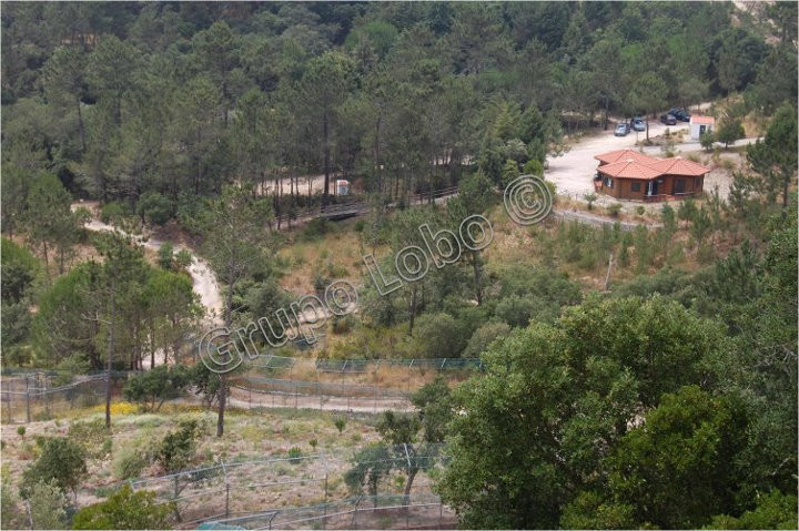 Centro De Recuperacao Do Lobo Iberico景点图片
