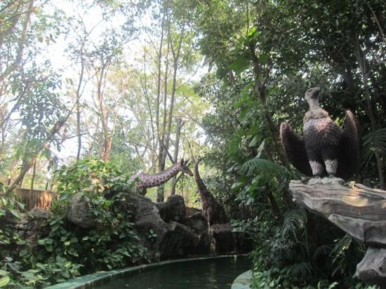 野生动物世界-曼谷必去景点