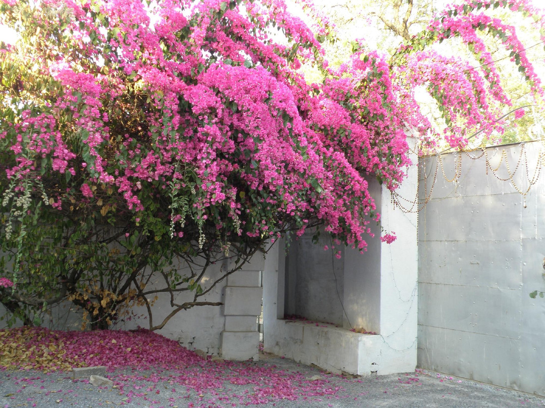 Raobagh Palace主图