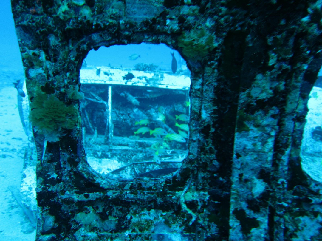 凯马纳潜水-火奴鲁鲁必去景点