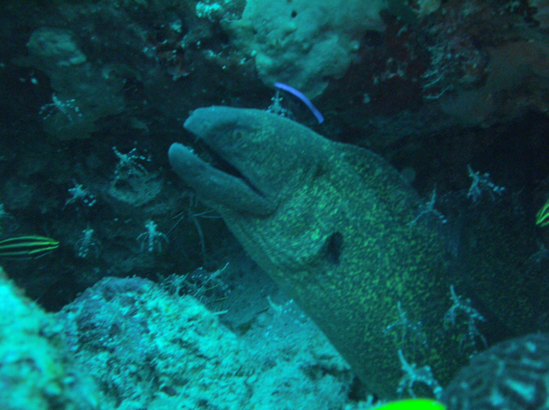 Boracay Island Divers-长滩岛必去景点