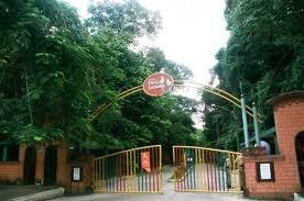 Parque Estadual de Dois Irmãos景点图片