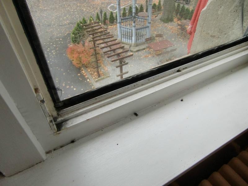 Hotel Schloss Landsberg-酒店景观