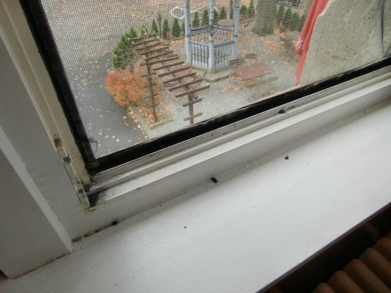 Hotel Schloss Landsberg主图