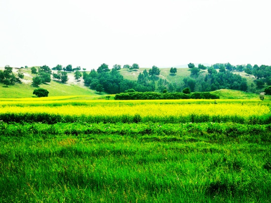 木兰围场-围场县必去景点
