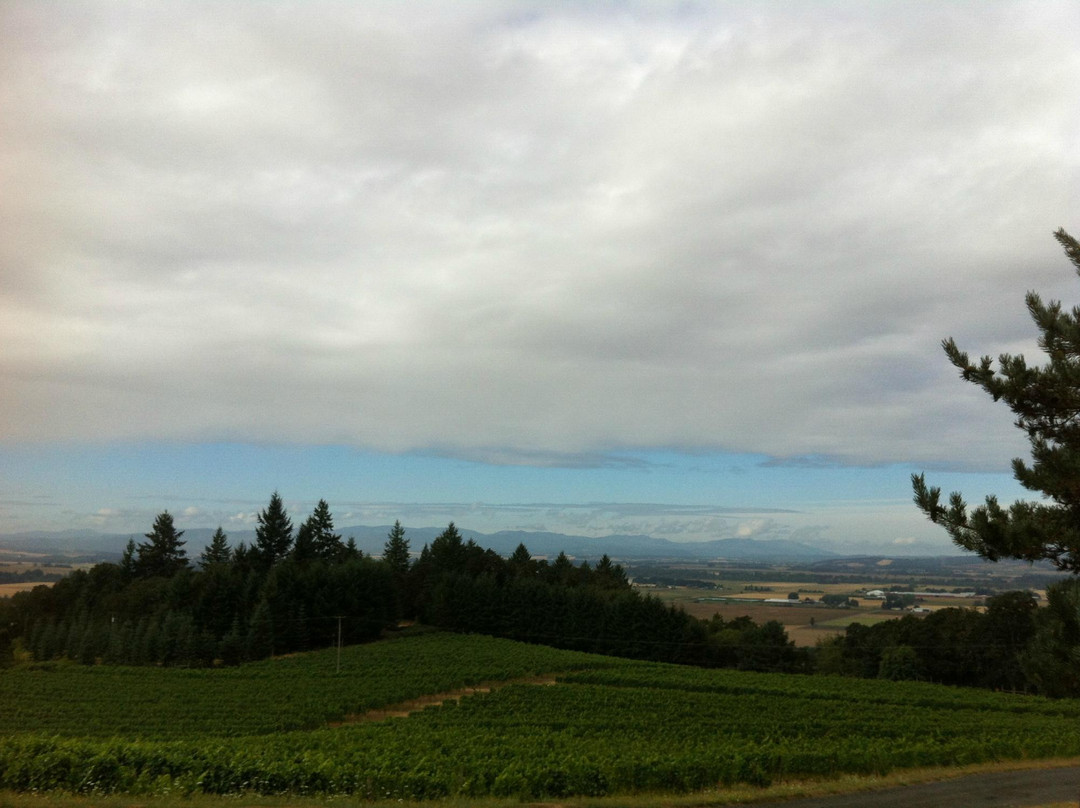 Amity Vineyards-Amity必去景点