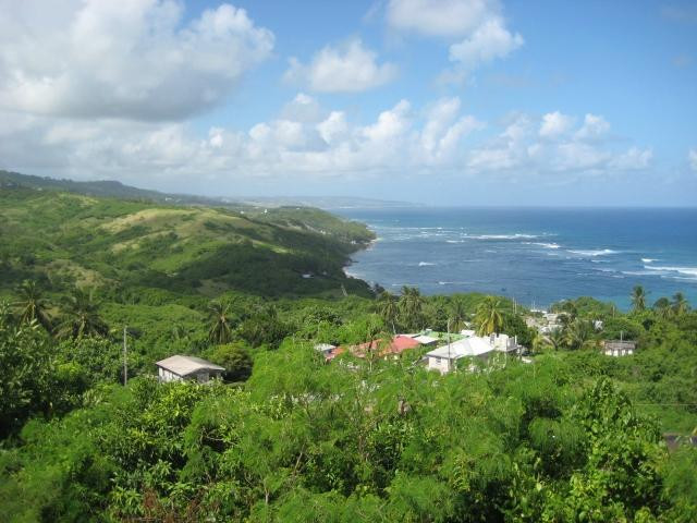 Caribbean Motorcycle Guided Tours-布里奇顿必去景点