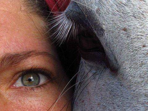 Caballos De Luz-Rocha必去景点