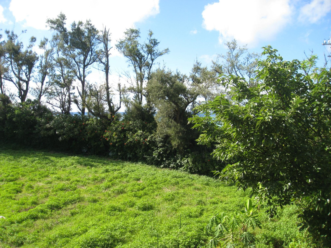 Pension Sunset Beach主图